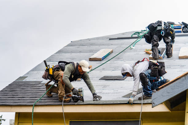 Professional Roofing technician working in Pacific Junction, IA